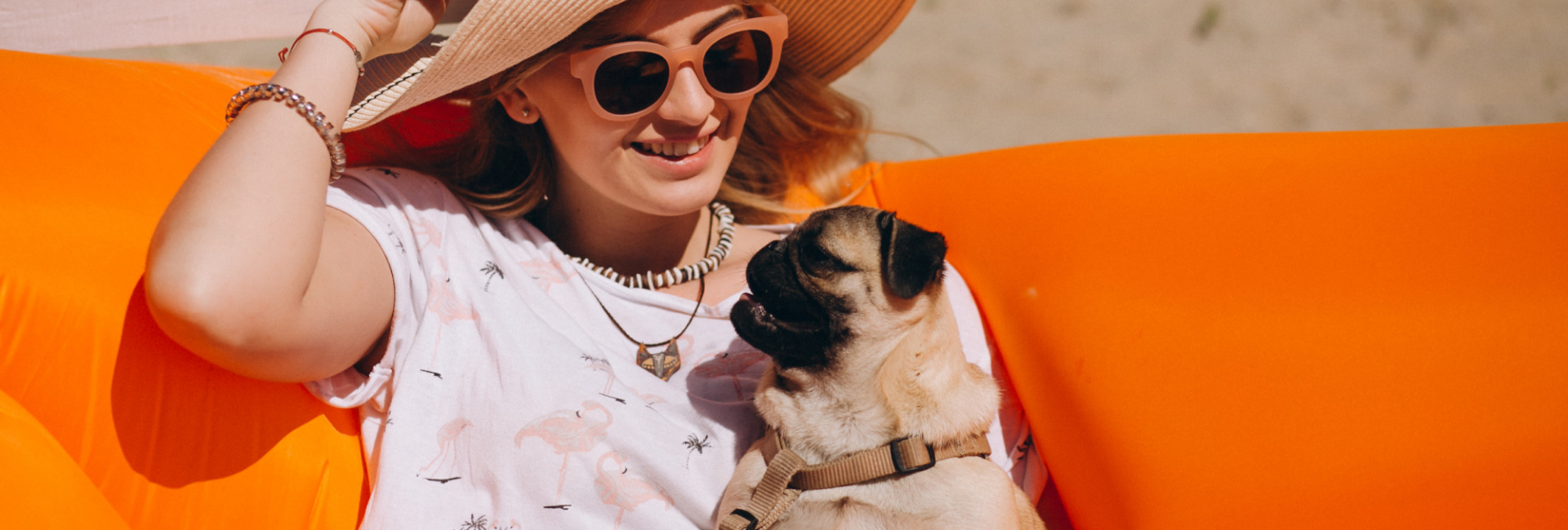 Talenori beach-ready dog gear