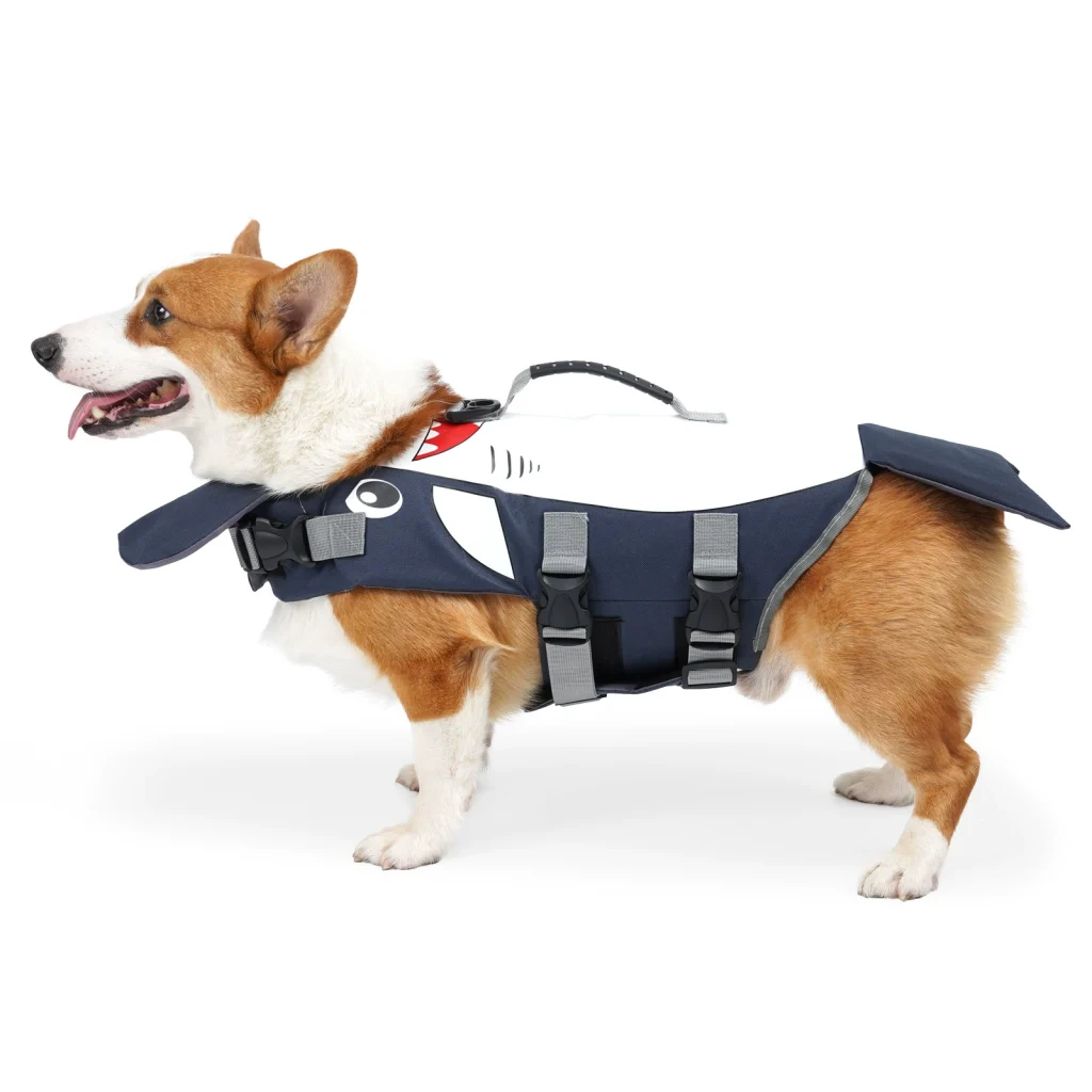 Corgi wearing the navy shark-style Talenori dog life jacket
