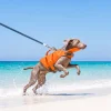 talenori-ai-image-20260811-080941 Contrast Color Dog Life Jacket
