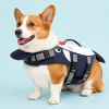 Talenori 媒体包候选图 - 水日细节图 Dog wearing the Talenori Shark-Style Dog Life Jacket with top handle and secure straps