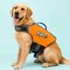 Talenori 媒体包候选图 - 水日细节图 Reflective Polyester Dog Life Jacket Vest