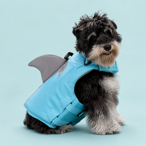 Talenori 媒体包候选图 - 水日细节图 Shark-Inspired Dog Life Jacket Vest