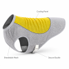 Talenori 媒体包候选图 - 卖点说明图 Summer Cooling Dog Vest with Ice Pack Pocket