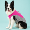 Talenori 媒体包候选图 - 水日细节图 Summer Cooling Dog Vest with Ice Pack Pocket