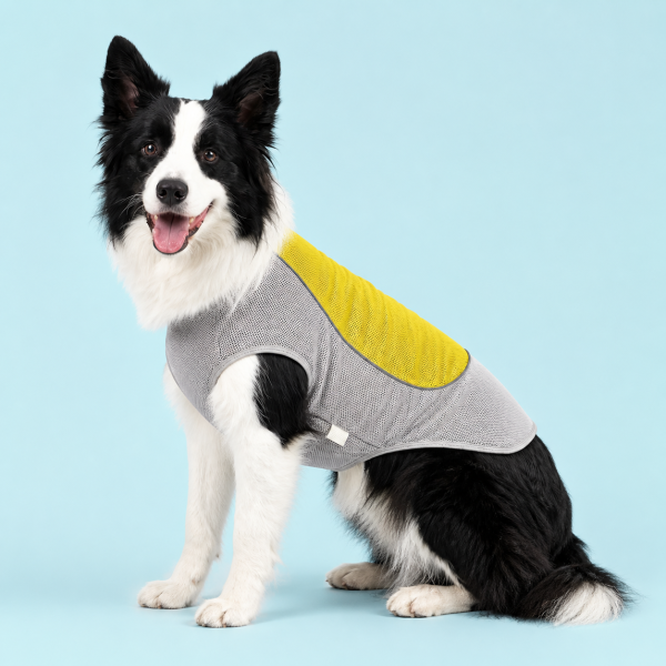 Talenori 媒体包候选图 - 水日细节图 Summer Cooling Dog Vest with Ice Pack Pocket