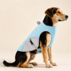 Talenori 媒体包候选图 - 狗狗上身图 Cooling Dog Vest with Reflective Trim