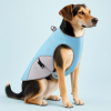 Talenori 媒体包候选图 - 水日细节图 Cooling Dog Vest with Reflective Trim