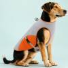 Talenori 媒体包候选图 - 水日细节图 Cooling Dog Vest with Reflective Trim