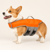 Talenori 媒体包候选图 - 狗狗上身图 Dog wearing an orange Talenori vest-style life jacket with handle and belly straps