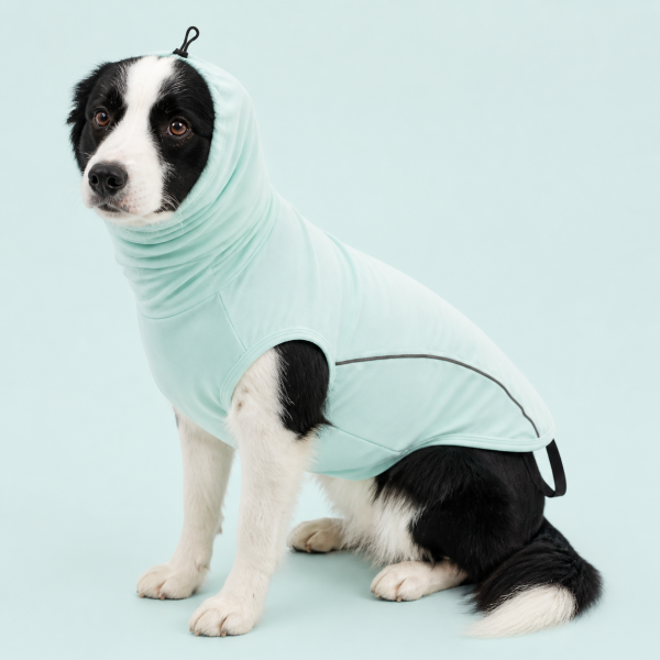 Talenori 媒体包候选图 - 水日细节图 Dog Sun Protection Vest with Cooling Nylon UV Cover