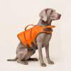 Talenori 媒体包候选图 - 狗狗上身图 Contrast Color Dog Life Jacket