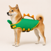 Green Dinosaur Dog Life Jacket