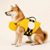 Talenori 媒体包候选图 - 狗狗上身图 Dog wearing a yellow Talenori bee-style life jacket showing chest, shoulder, and handle fit