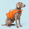 Talenori 媒体包候选图 - 水日细节图 Contrast Color Dog Life Jacket