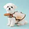 Talenori 媒体包候选图 - 水日细节图 Bear Cartoon Dog Life Jacket