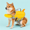 Big-Eye Buddy Dog Life Jacket