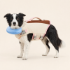 Talenori Blue Life Jacket Fit Proof Structure Correct V3 Blue dog life jacket fit proof with cream neck connector