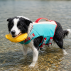 talenori-product-159-yellow-v2-wearing-20260813-135652 Bear Print Polyester Dog Life Jacket